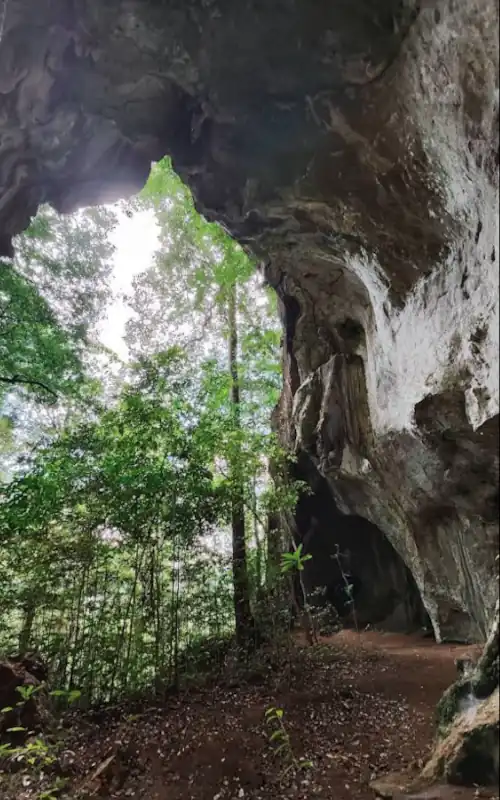 The entrance to a large cave framed by rugged rock walls, opening out into a lush green forest with sunlight filtering through tall trees.