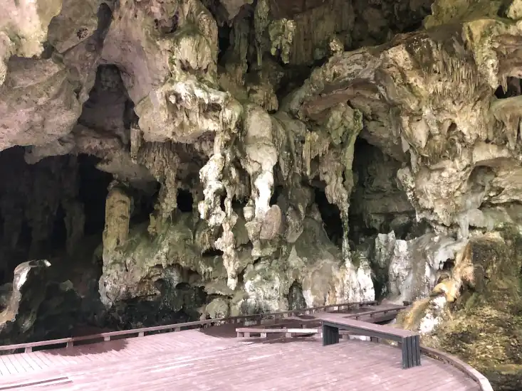 A limestone cave interior with stalactites and stalagmites, rugged walls in shades of beige and brown, and a wooden walkway built for visitors.