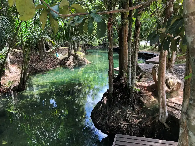 Clear freshwater canal with wooden walkways and trees in a tropical garden setting
