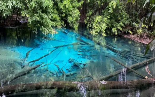 Emerald Pool and Hot Spring Waterfall