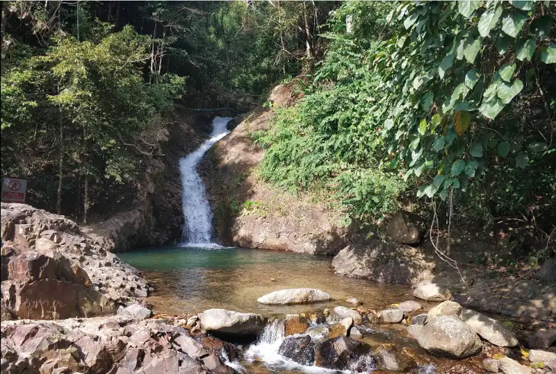 A waterfall cascading down a rocky cliff into a clear pool, framed by dense green plants and forest trees.