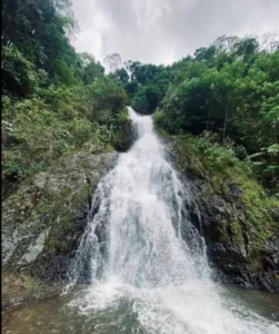 A tall waterfall streaming down a forested hillside into a small pool, surrounded by tropical vegetation under a cloudy sky.