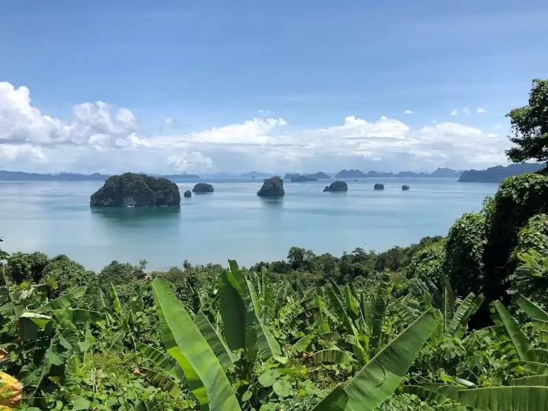 A tropical coastal scene with lush banana plants in the foreground, turquoise sea beyond, and several small rocky islands covered in greenery.