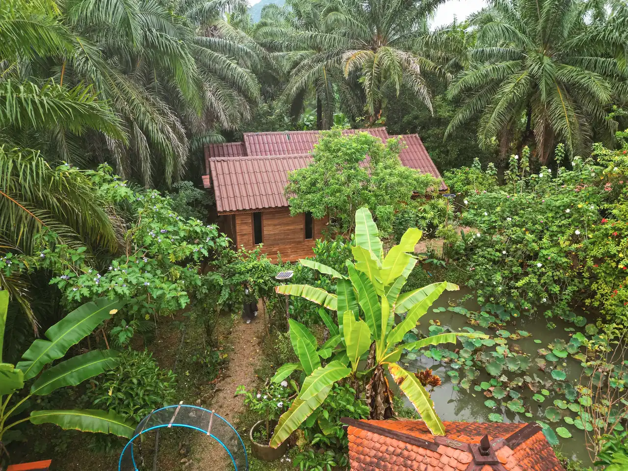 Tropical garden with pond and traditional Thai house in Krabi