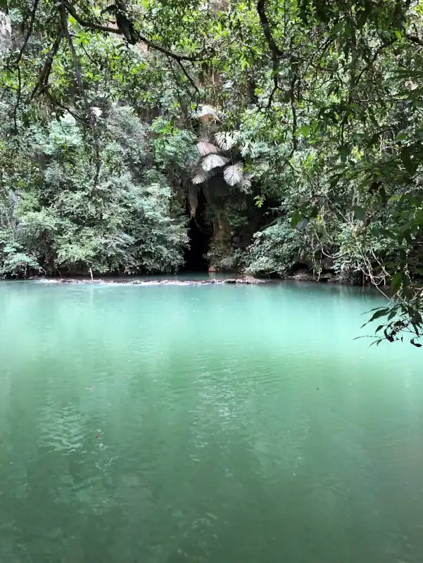 Emerald green natural pool surrounded by dense jungle and limestone cliffs