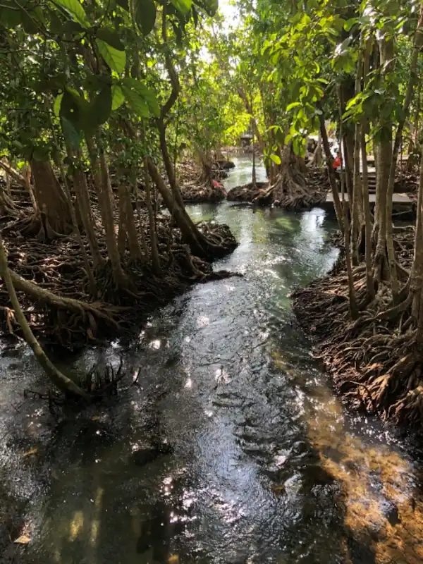 Thapom Klong Song Nam