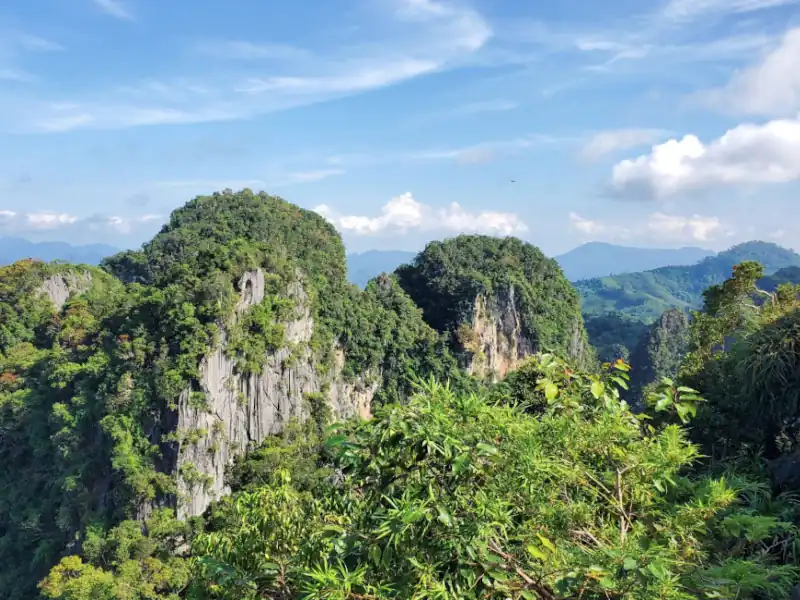 Scenic view from the summit of limestone cliffs covered in dense vegetation, tropical plants in the foreground, and rolling hills under a blue sky.